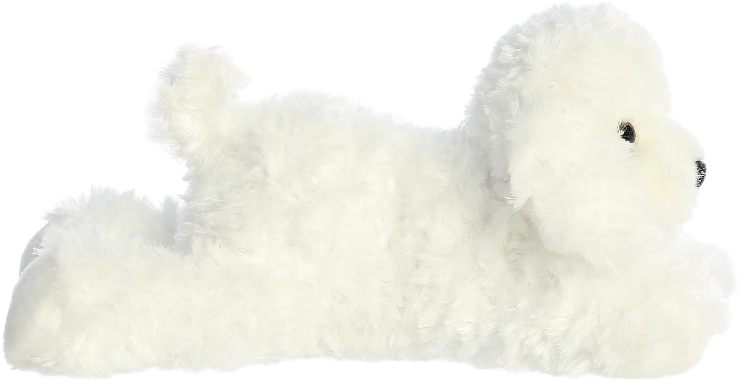 Aurora Bonita Flopsie shows a curly white coat for cozy snuggles.