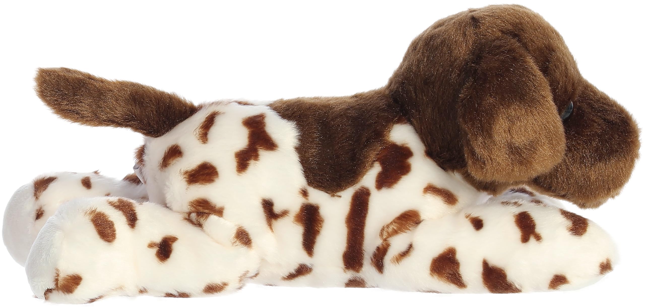 Aurora Gio German Shorthair Flopsie face detail for friendly companionship during storytelling.