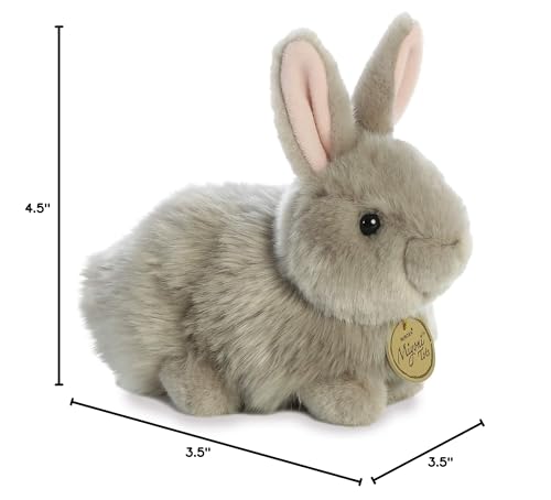 Aurora Miyoni Angora Bunny Grey tag detail showcases unique species information.