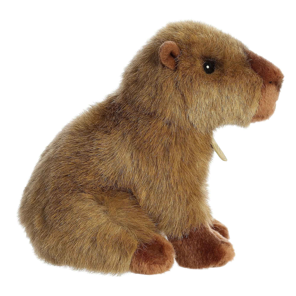 Aurora Miyoni capybara plush detail stitching showcases craftsmanship and durability.