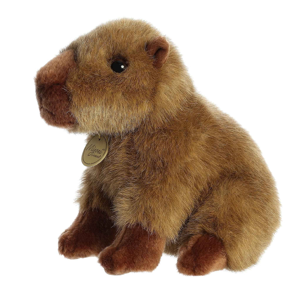 Aurora Miyoni capybara plush hang tag offers species info for curious fans and collectors.