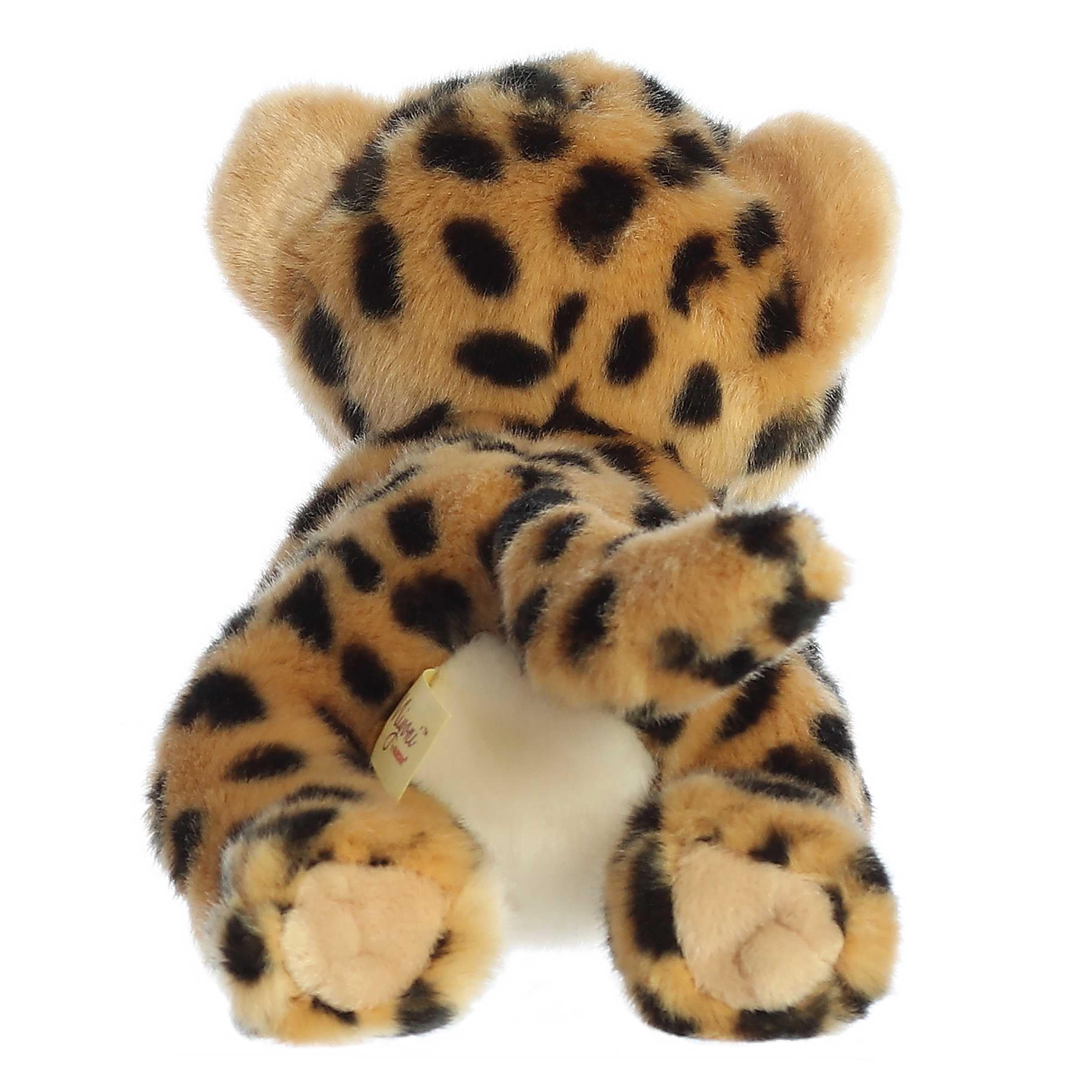 Aurora Miyoni cheetah toy hang tag with species information for education.