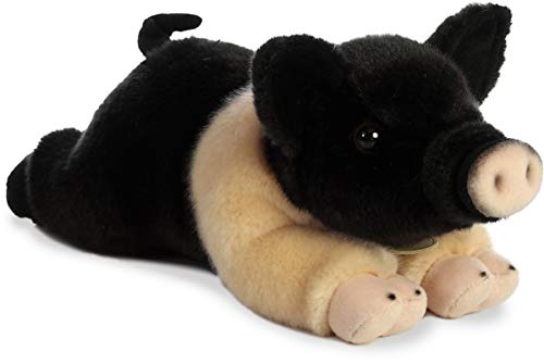 Aurora Miyoni Hampshire Pig with bean pellets for stable posing