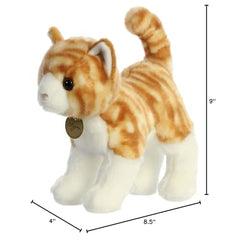 Aurora Miyoni orange tabby plush used as classroom-friendly decor.