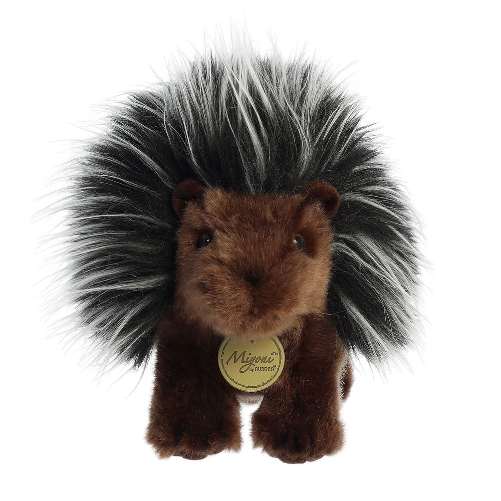 Aurora Miyoni porcupine face showing friendly expression for cuddles