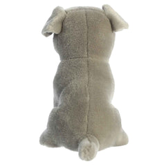 Aurora Miyoni plush features a hang tag with unique species information for educational charm.