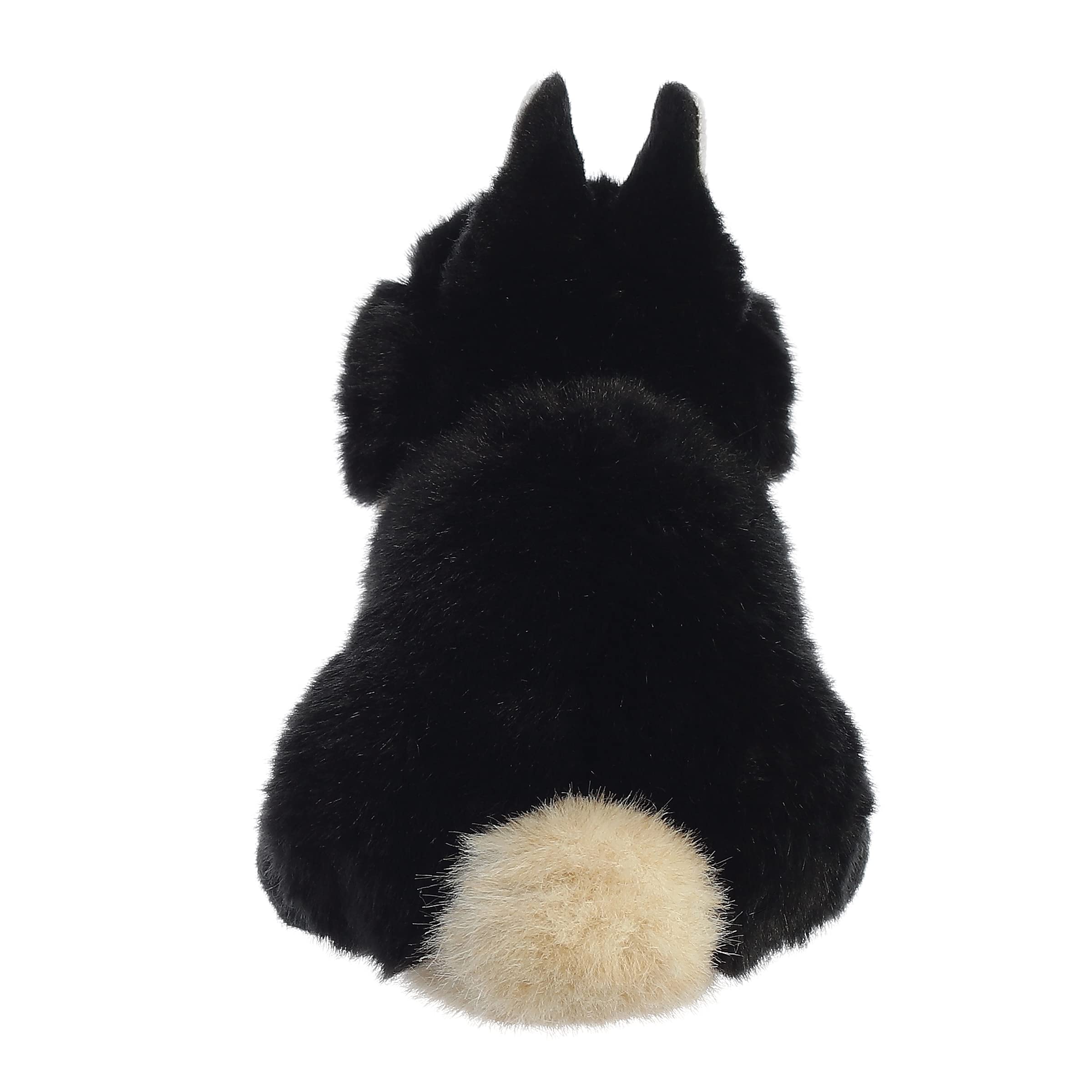 Bean pellets inside Miyoni Tots Netherland Dwarf Bunny for stable display