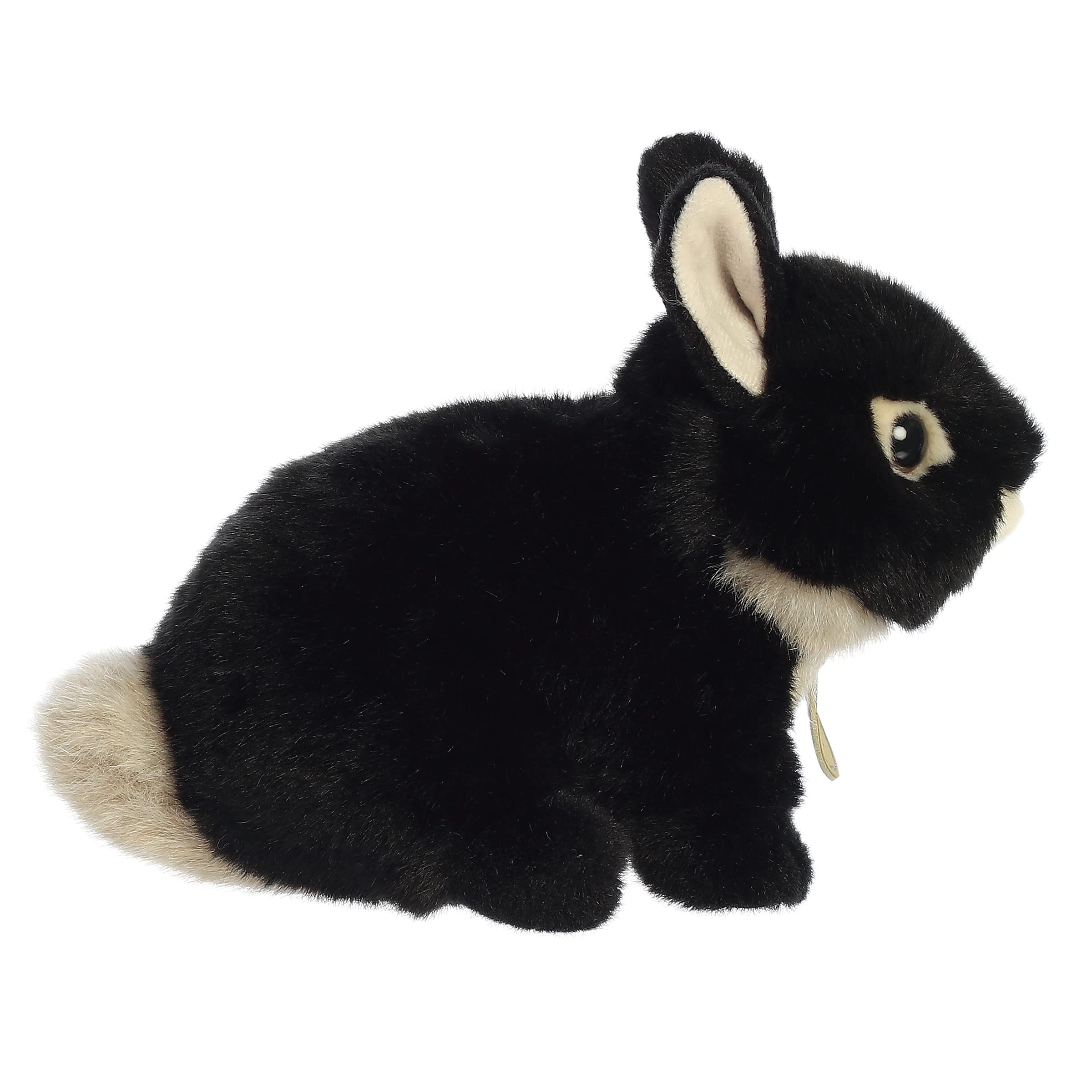 Compact size Miyoni Tots Netherland Dwarf Bunny ready for shelves or desks