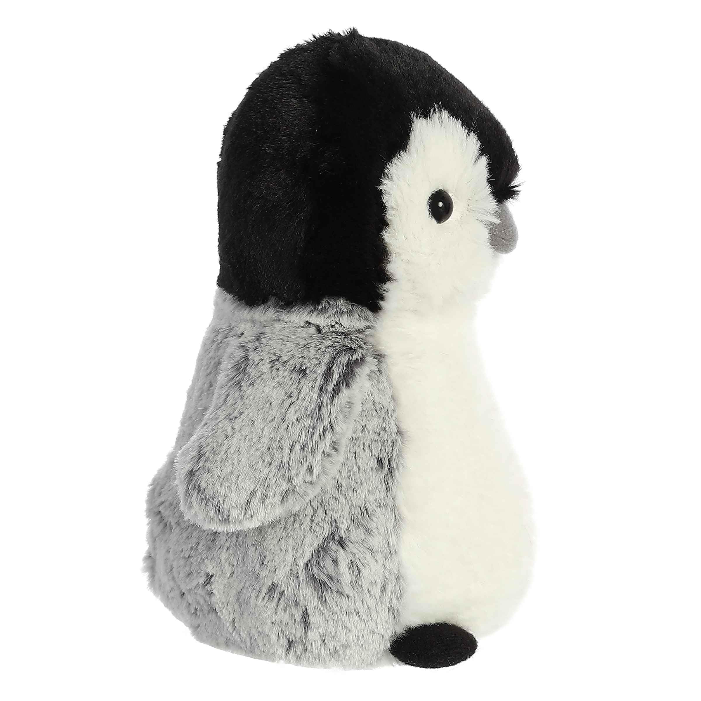 Aurora Pippin Penguin close-up shows round eyes and charm.