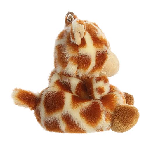 Safara Giraffe close up on expressive eyes for playful shelf display
