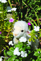 Aurora plush lamb's soft fleece invites cozy snuggle sessions