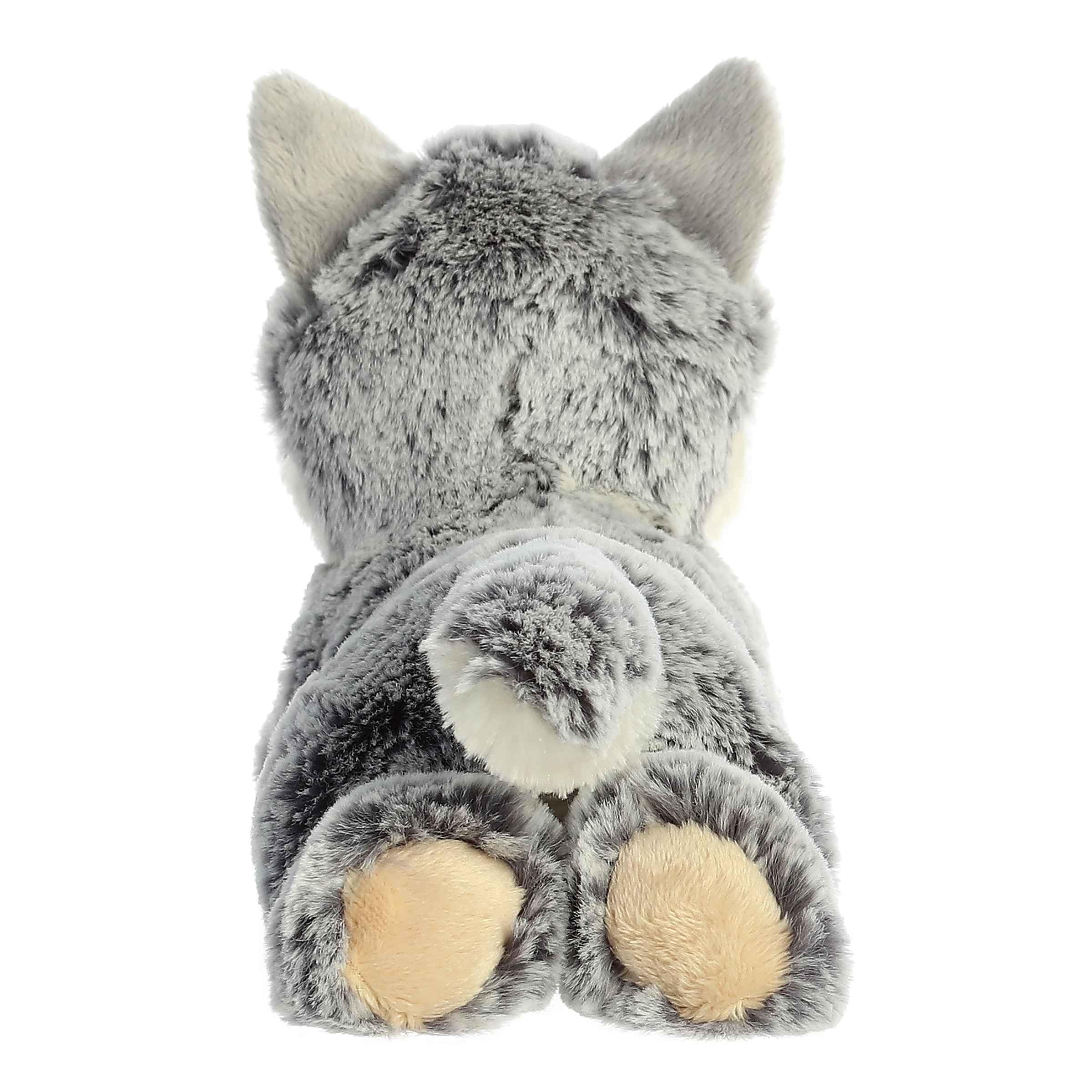 Aurora Winter Wolf resting pose invites quick, gentle play sessions.