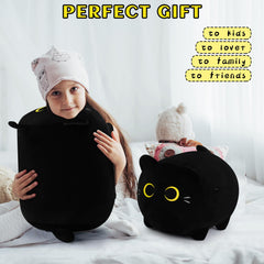 Auspicious Beginning Black Cat Plush embroidered face with cute expression