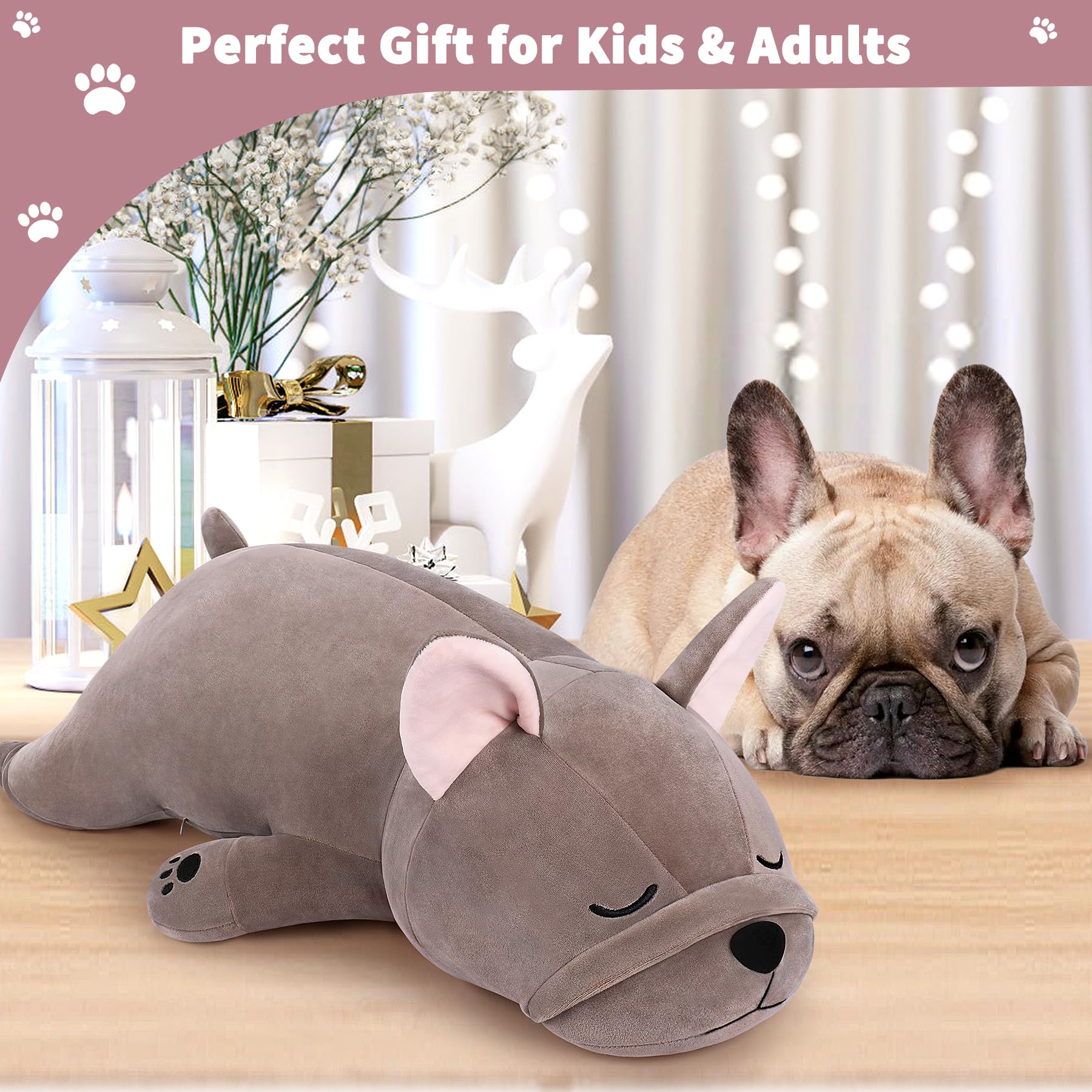 Auspicious Beginning friendly Bulldog plush enhances bedtime storytelling.