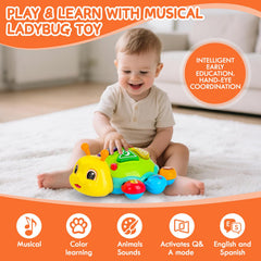 AUUGUU bilingual prompts English and Spanish for language play