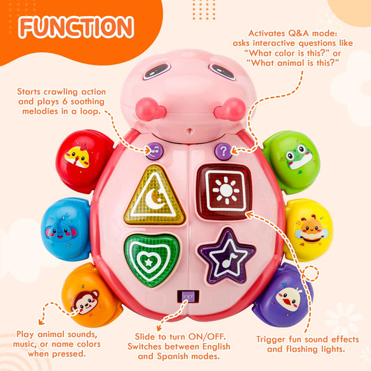 AUUGUU light-up beetle toy with colors enhances visual tracking.
