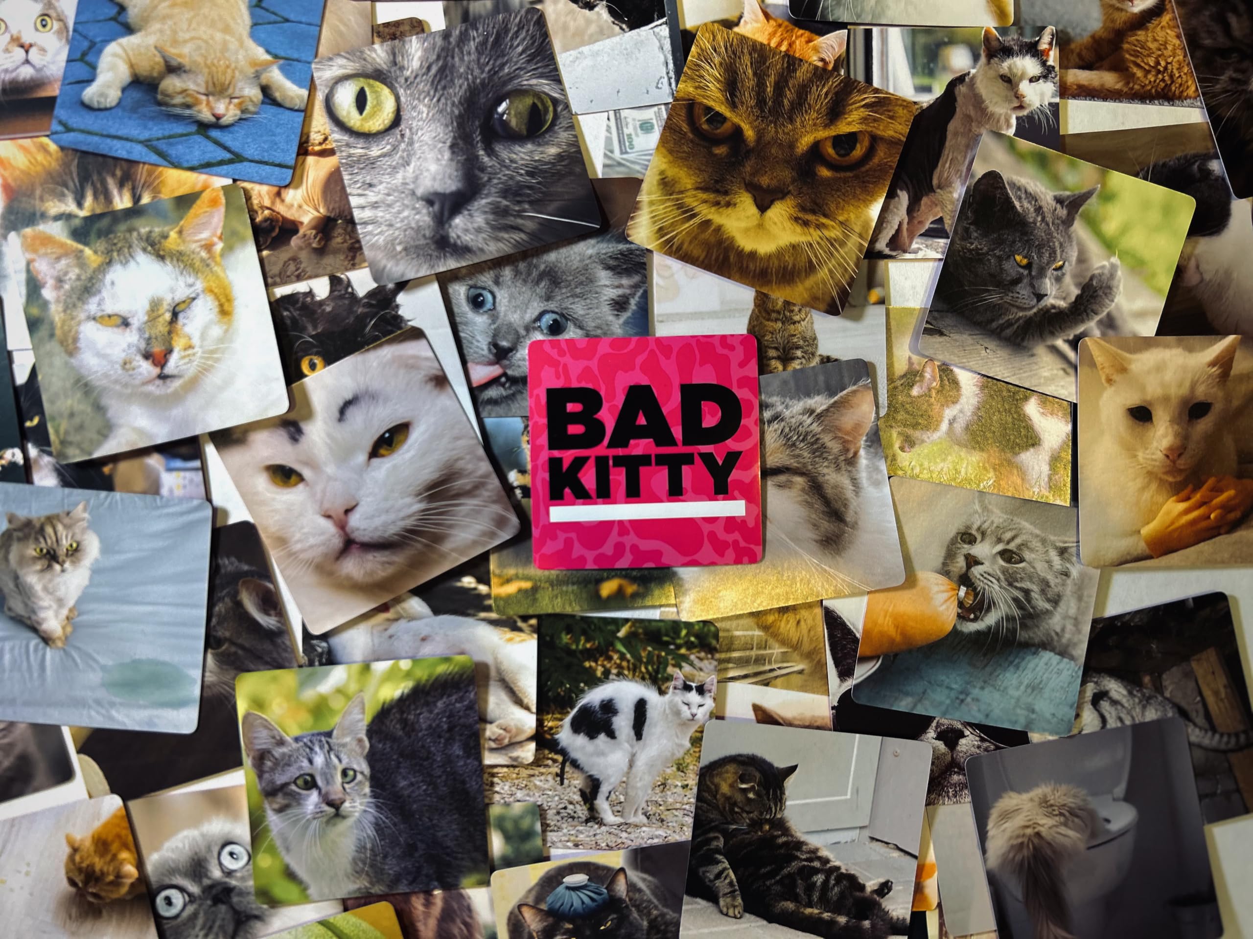 Bad Kitty card pack contents shown, quick setup for instant play.