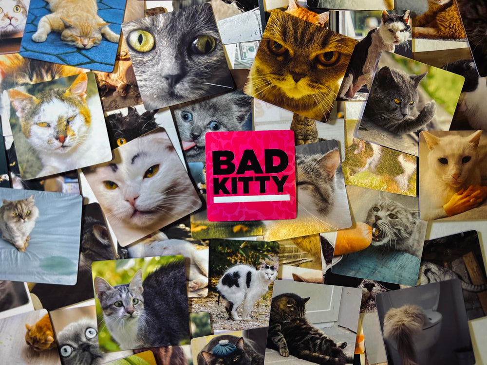 Bad Kitty meme pairings spark hilarious captions and laughs