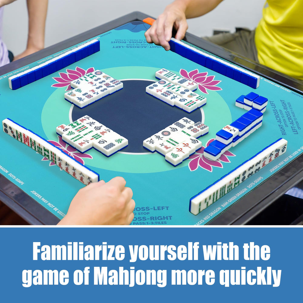 BALAPET mat rolls for easy storage and quick cleanup after games