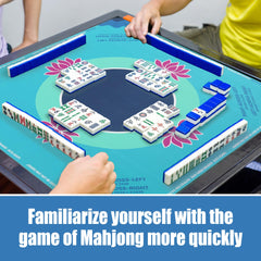 BALAPET mat rolls for easy storage and quick cleanup after games