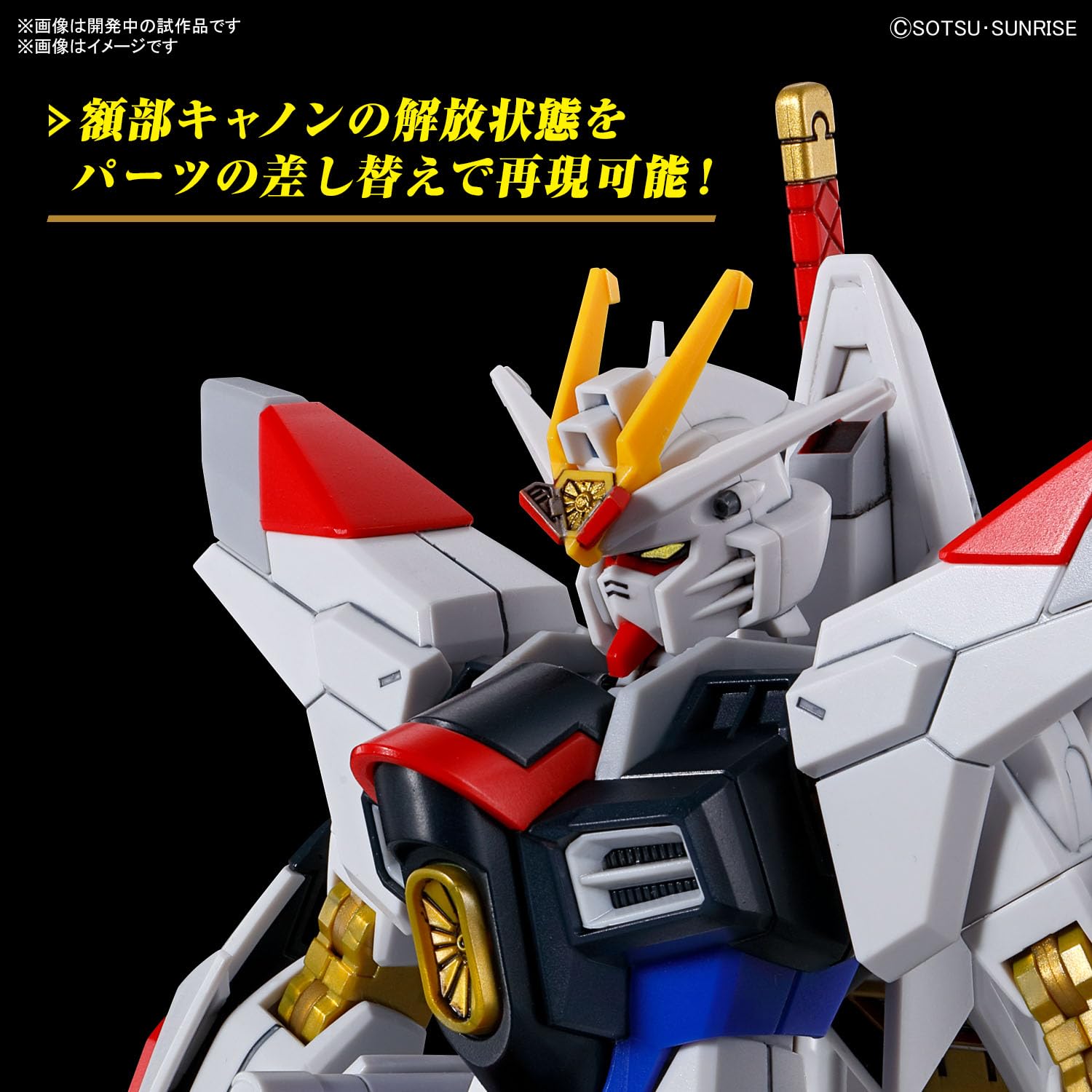 Bandai Spirits Mighty Strike Freedom Gundam HG 1/144 instruction manual included