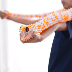 BANPIWOLG length comparison showing 47.5-inch snake scale against ruler