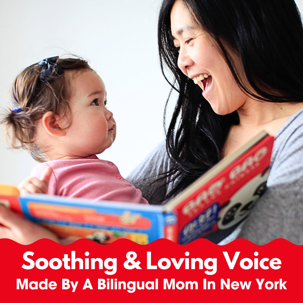 Bao Bao Learns Chinese Vol. 1 bilingual text supports early literacy