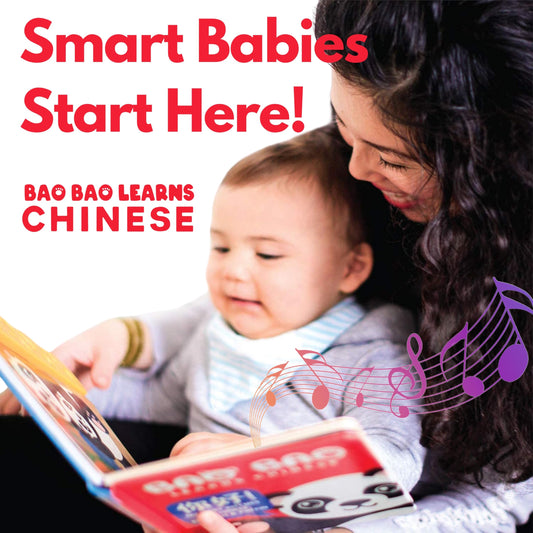 Bao Bao Learns Chinese Vol. 1 open pages show English Mandarin and Pinyin