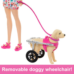Barbie doll and big dog with rolling wheelchair ready for a walk