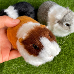 Basuo-9Q hamster plush figurine in assorted colors brightens a nursery.