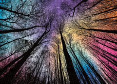 BBOLDIN gradient puzzle close-up on durable cardboard shows vivid colors.