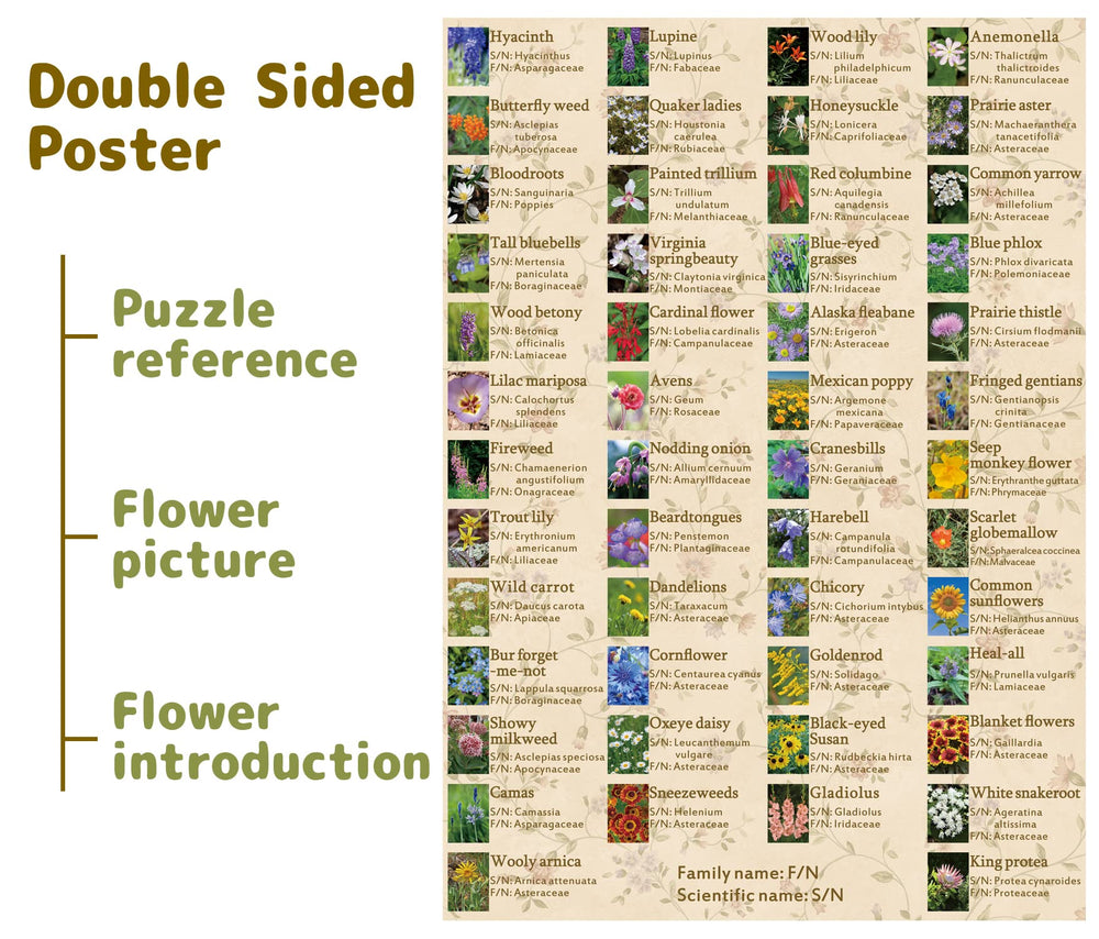 BBOLDIN North America wildflowers collection — 50 common species showcased in the puzzle.