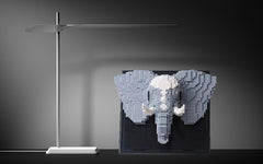 BDYDT wall decor room display adds a modern playful ambiance