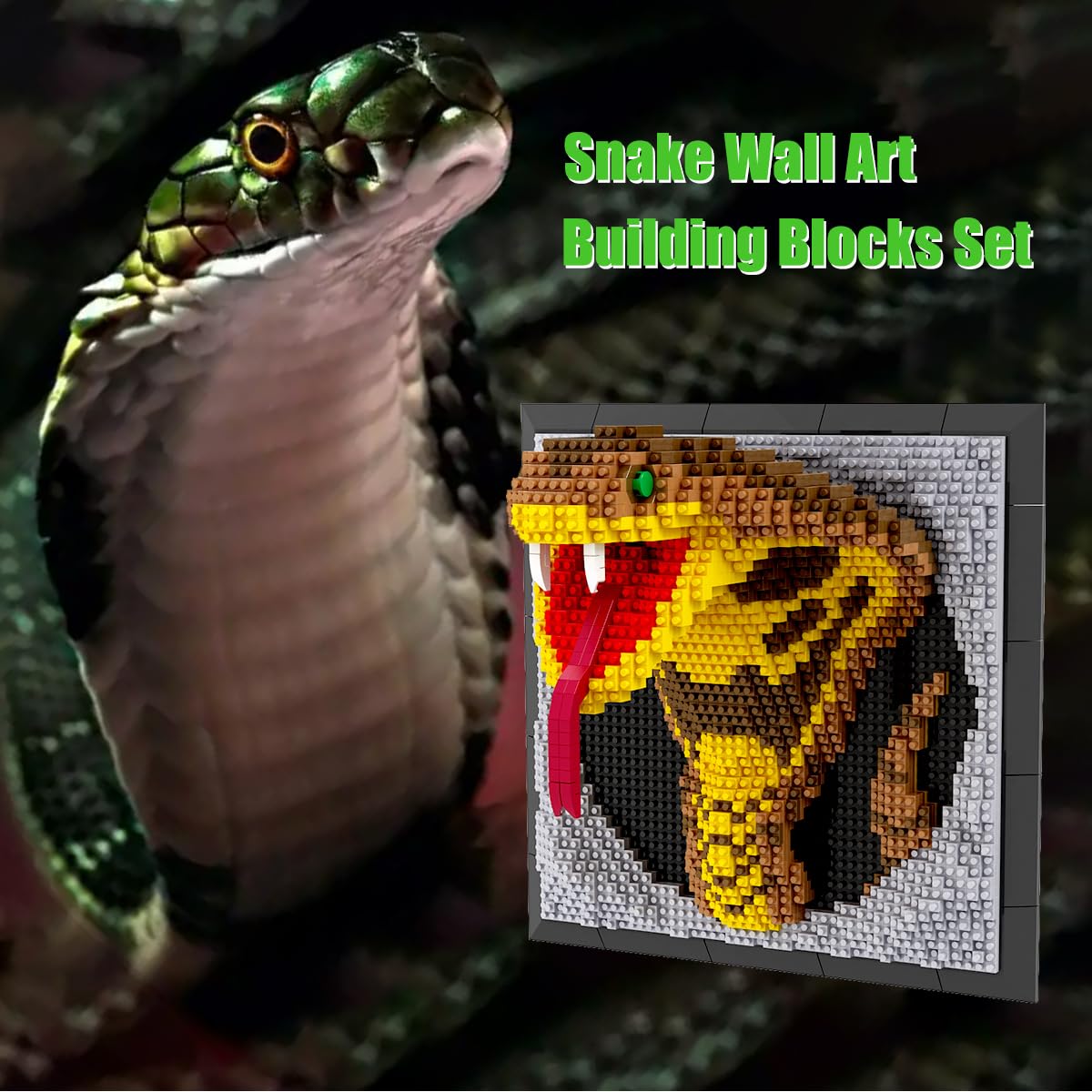 BDYDT Snake Room Display setup enhances living spaces