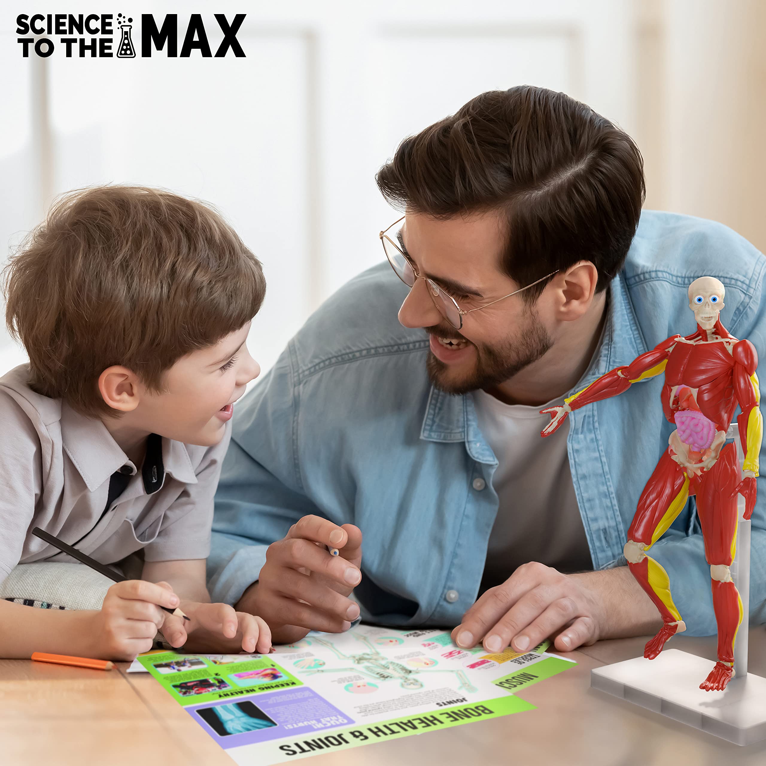 Be Amazing! Toys sixty-piece kit for hands-on anatomy study
