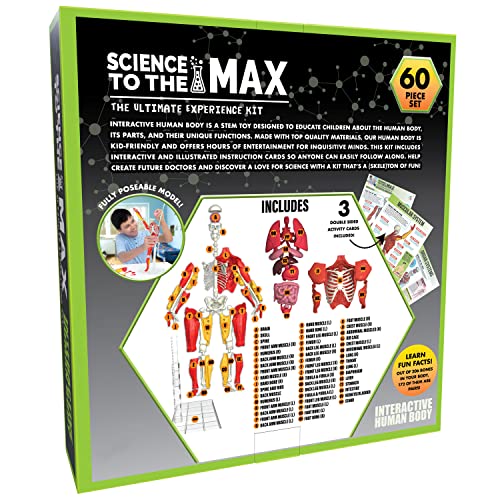 Be Amazing! Toys illustrated cards teach body parts and functions