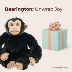 Gift-ready packaging for Bing the plush, perfect for birthdays or holidays