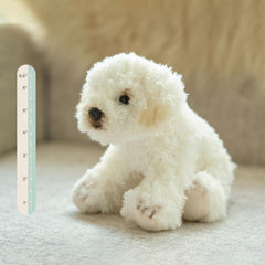Bearington Lil' Bisquit gift-ready packaging makes a sweet present.