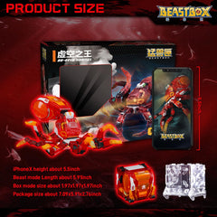 BEASTBOX VANITAS display wall setup showcases neat collection layouts.