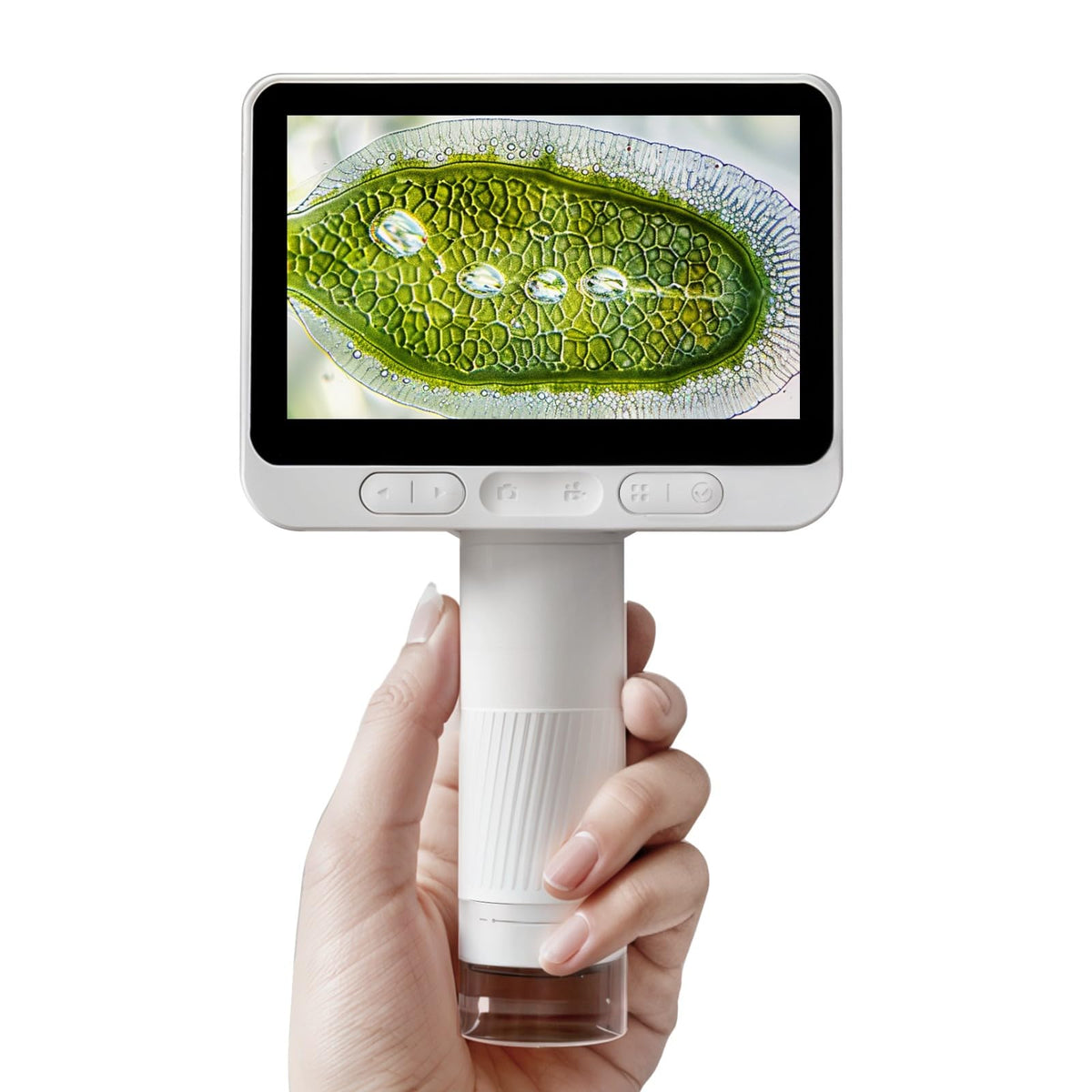 BEAVERLAB Finder 4 inch display delivers a clear view for kid friendly exploration