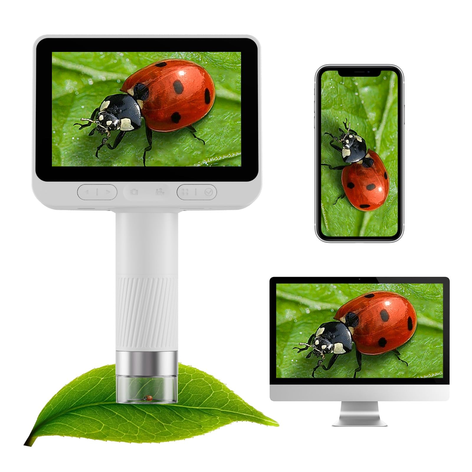 BEAVERLAB Finder built in hotspot enables quick sharing with family