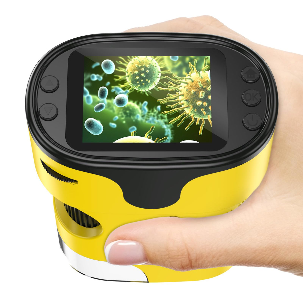 BEBANG 1000X microscope reveals coins in crisp detail for tactile learning.