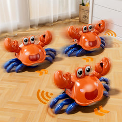 Beby Buty Crawling Crab toy with LED lights and sound cues