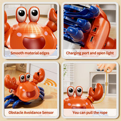 Beby Buty Crawling Crab toy made from safe ABS plastic