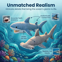 Bedwina Sharks pack two plush toys, perfect for shared playtime.