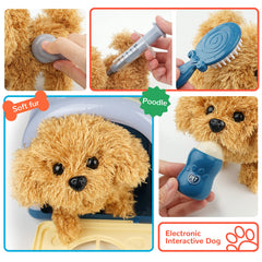 BELLOCHIDDO Vet Kit kennel with open doors for easy indoor play