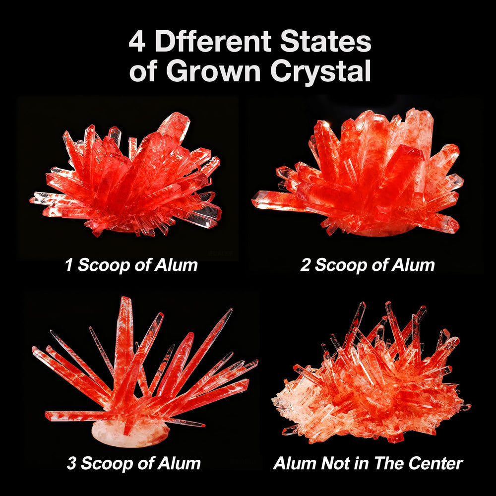 BenBen Crystal Growing Kit includes all tools for a smooth growth process and easy cleanup