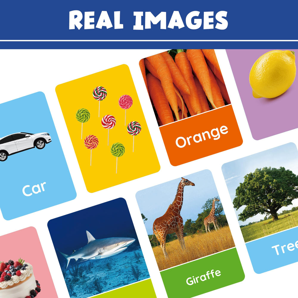 BenBen flash cards animals for toddlers, enhances vocabulary through real images.