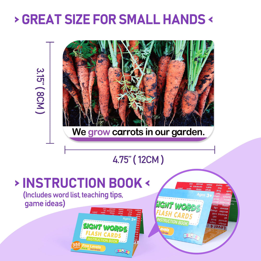 BenBen flash cards showing word side and image for context