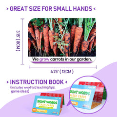 BenBen flash cards showing word side and image for context